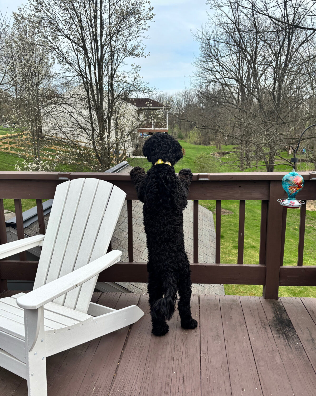 april favorites 2025