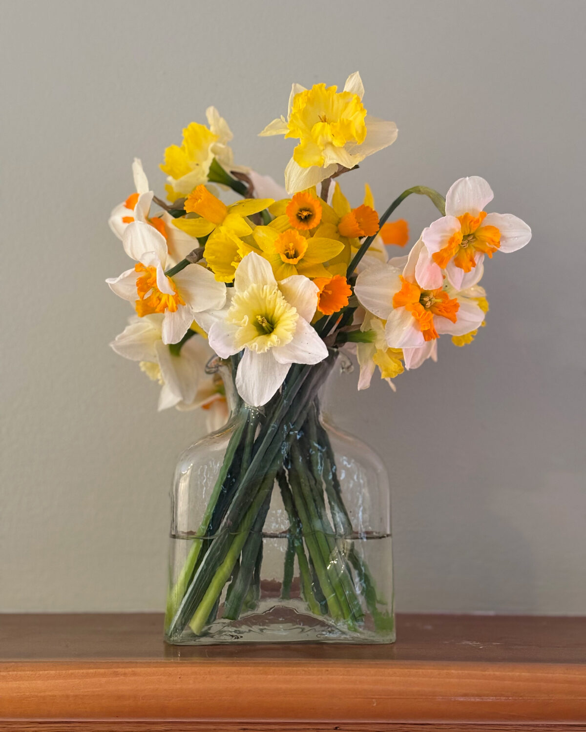 daffodils april favorites jssbckly